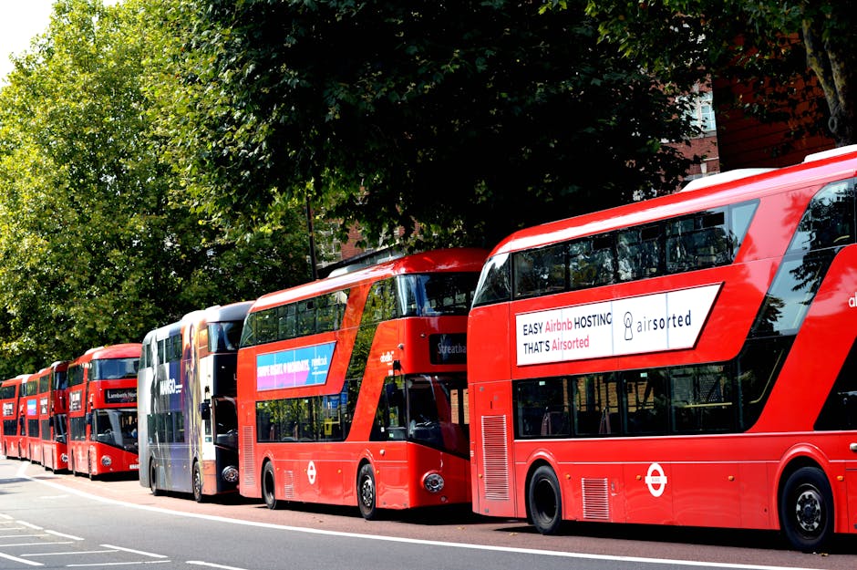 A row of six red double-decker buses parked along a street during daytime, with some displaying advertisements and operational signage, behind which tall green trees with dense foliage are visible. The buses are positioned close to the curb on a paved road with visible lane markings. The scene is well-lit with natural daylight, and the reflections of trees can be seen on the bus windows. This image illustrates urban bus transportation infrastructure, which can be associated with moving or relocation services, such as those offered by Removal Van Lambeth for home relocation in the Streatham estate area. The setting suggests a busy urban environment, relevant to logistics and transportation involved in furniture transport and packing and moving processes.